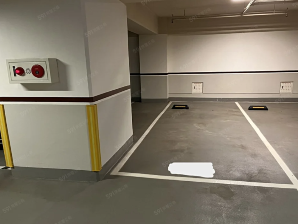 坡道平面式車位,24小時保全