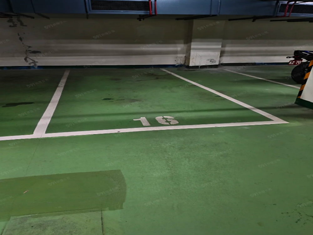 信義雙星B2超好停平面大車位,車位王