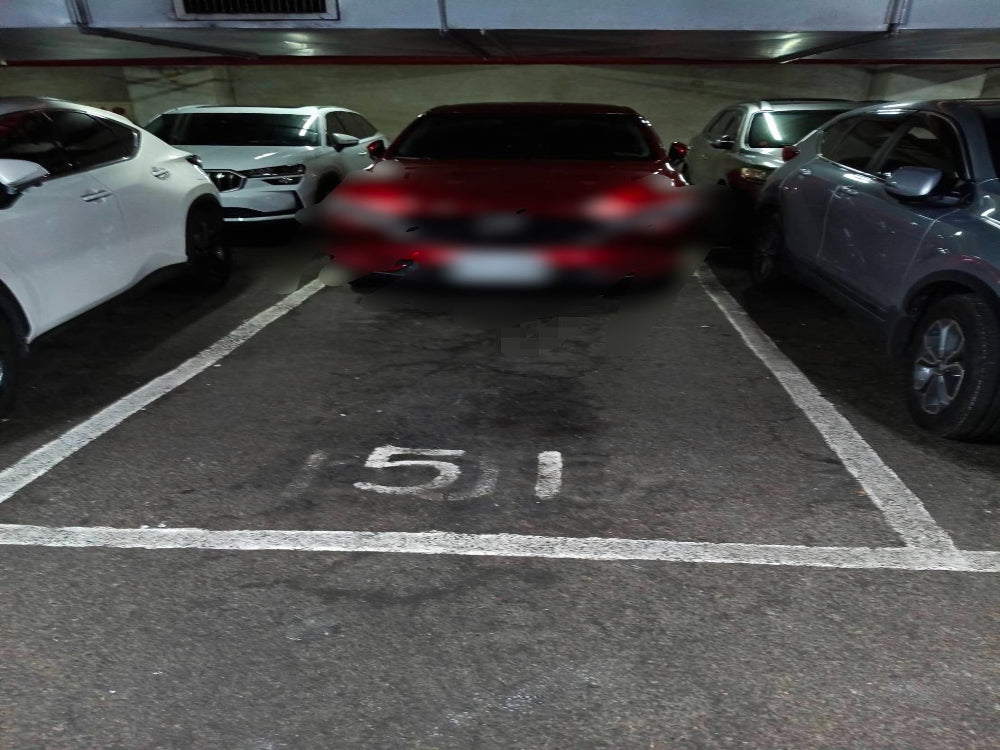 近捷運中原站 地下平面車位，長型可停兩台車，單車位3500